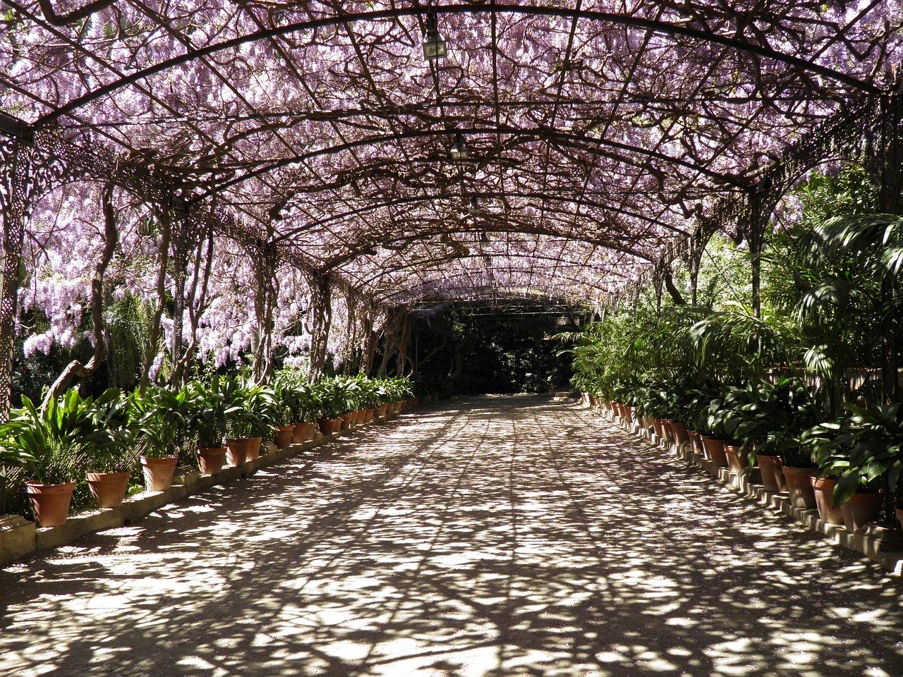 pergola3